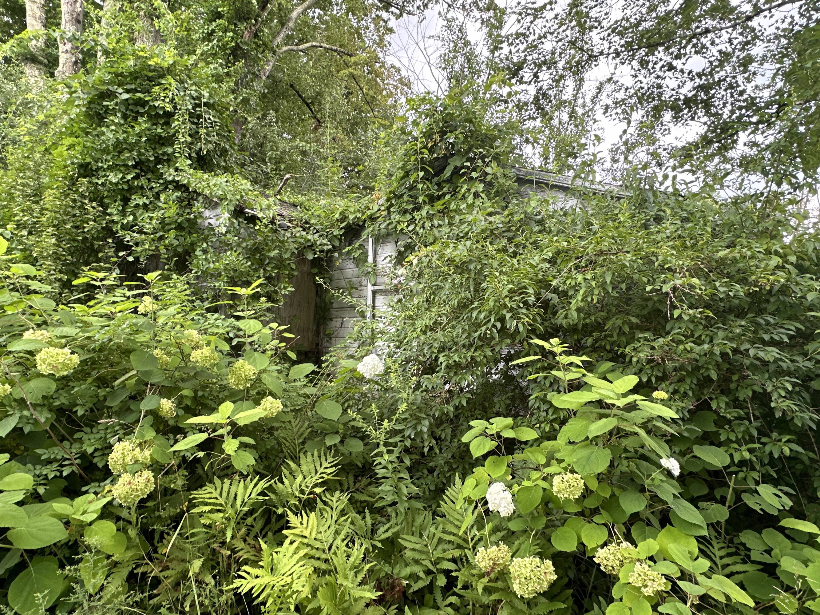 Beautiful residential land